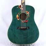 Acoustic Guitars